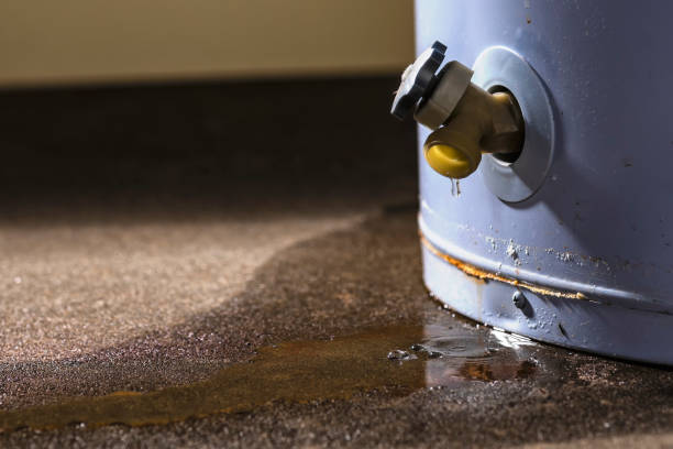 Best Commercial water damage restoration  in Homeland, GA