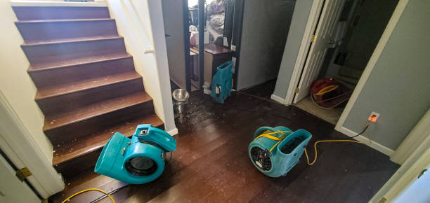 Best Sewage cleanup and water damage restoration  in Homeland, GA