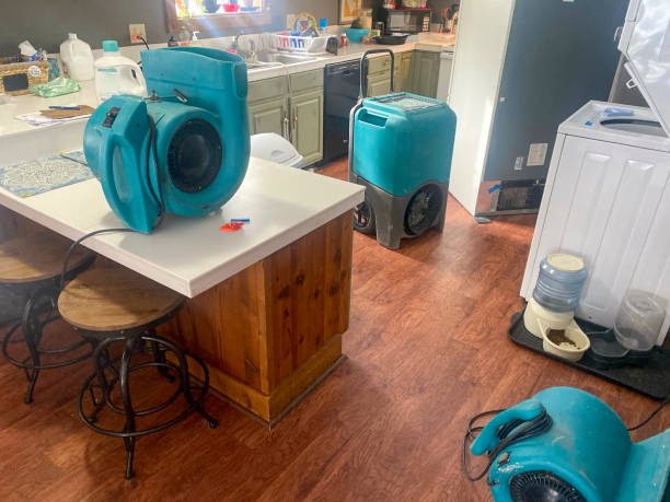 Best Mold removal after water damage  in Homeland, GA