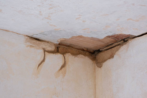 Best Commercial water damage restoration  in Homeland, GA