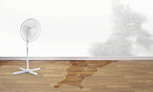Best Fire Damage Restoration  in Homeland, GA