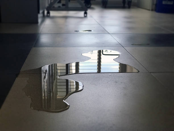 Best Water damage cleanup near me  in Homeland, GA