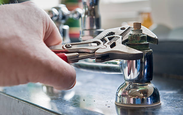 Best Water damage restoration mold remediation  in Homeland, GA