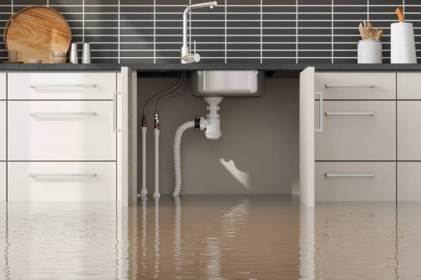 Best Flood damage cleanup  in Homeland, GA