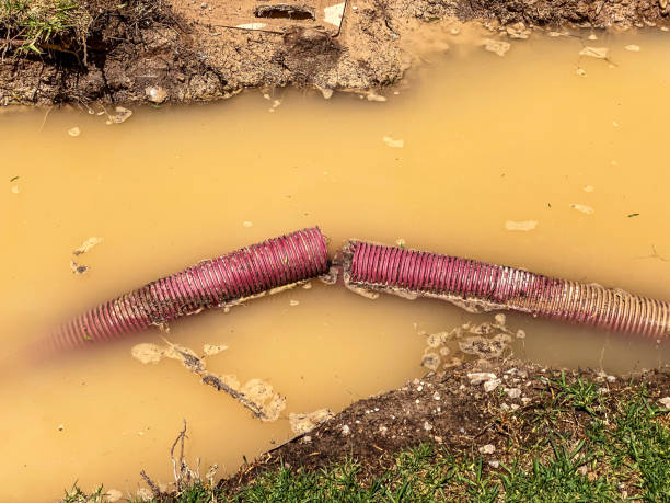 Best 24/7 water damage repair  in Homeland, GA