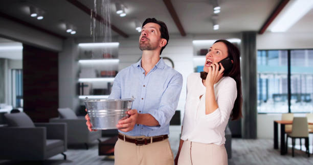 Best Ceiling water damage repair  in Homeland, GA